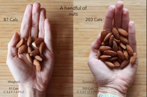 Understanding Portion Control